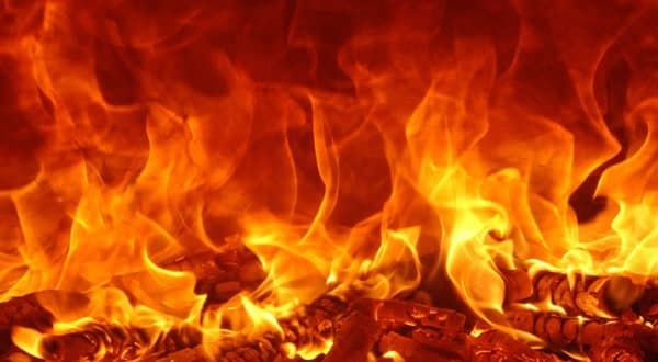 تفسير حلم الحصان في المنام