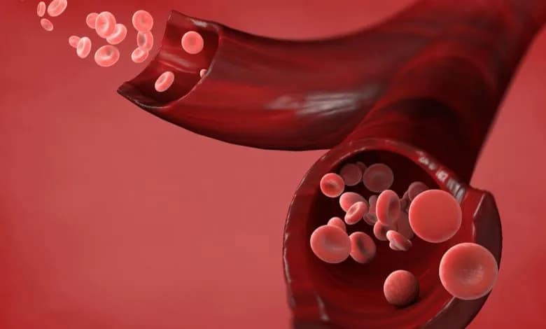 تفسير رؤية الدم في المنام - دلالات ومعاني عند ابن سيرين